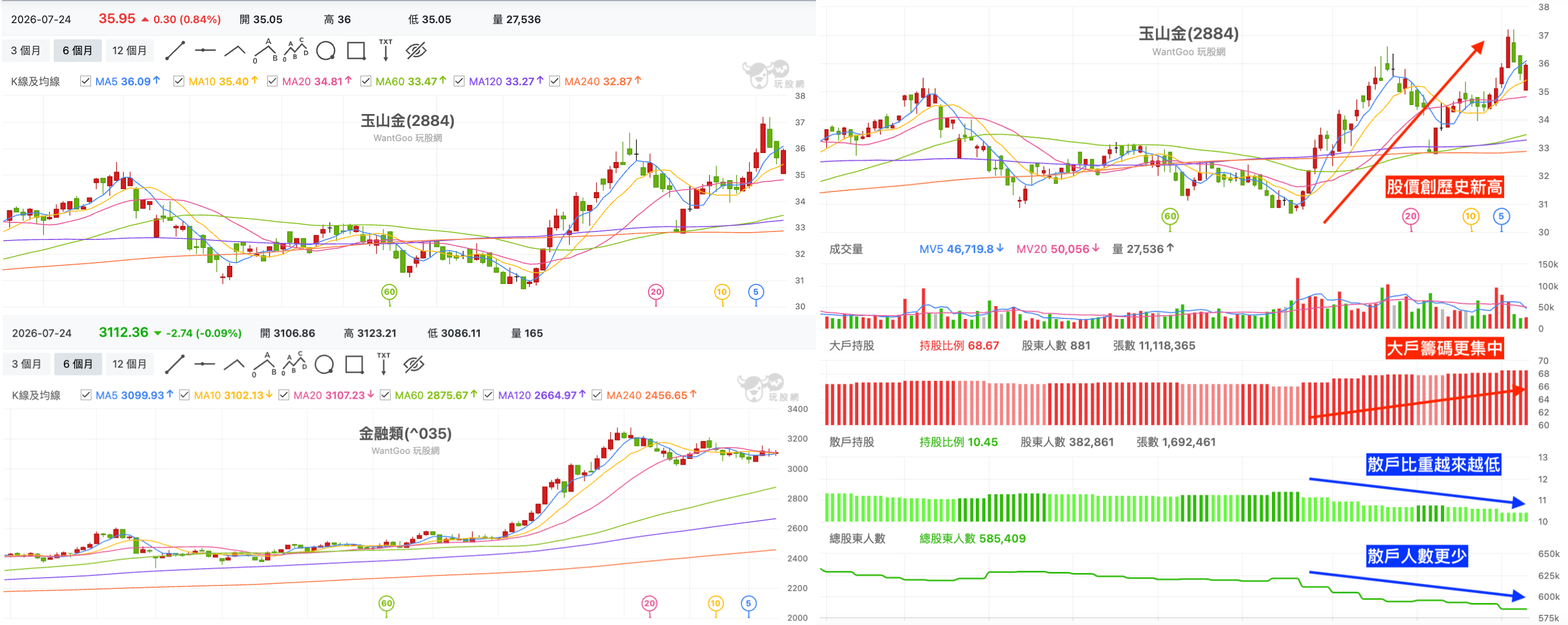 玉山金金融股大戶籌碼比較