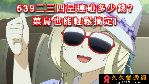 539二三四星多少錢